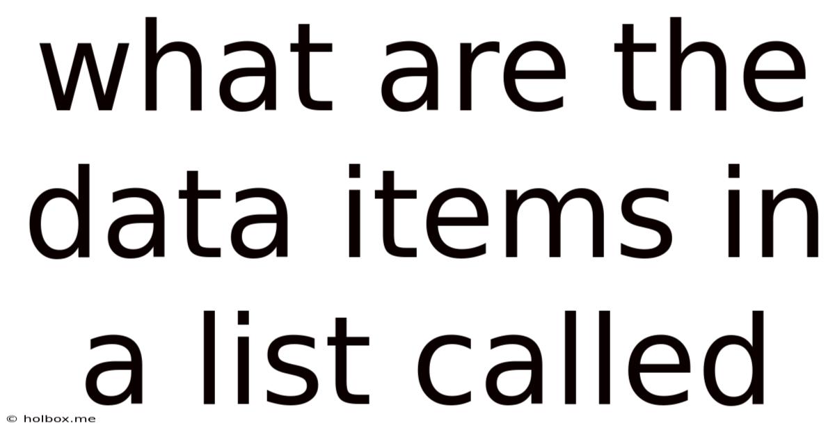 What Are The Data Items In A List Called
