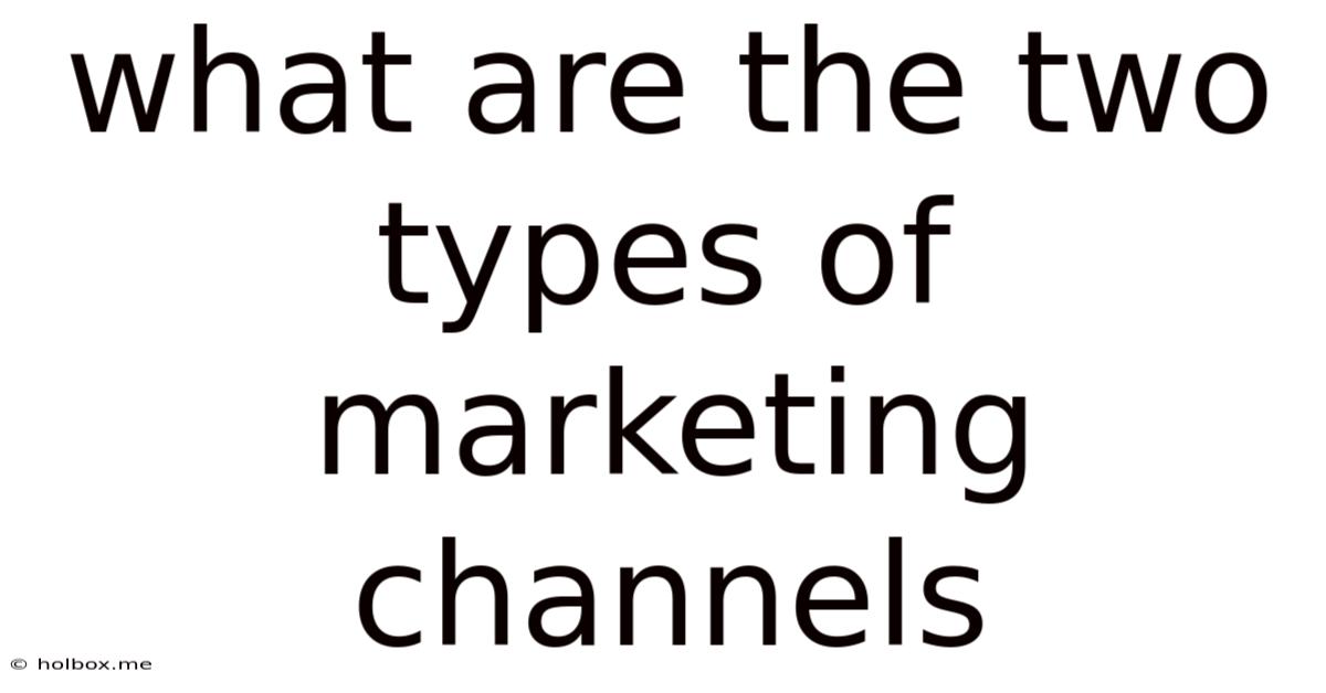 What Are The Two Types Of Marketing Channels