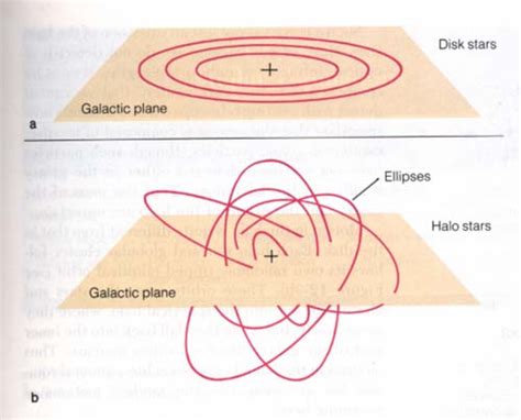 What Do Halo Stars Do Differently From Disk Stars