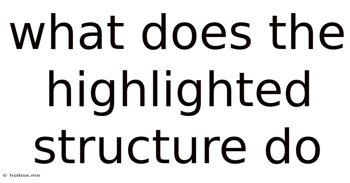 What Does The Highlighted Structure Do