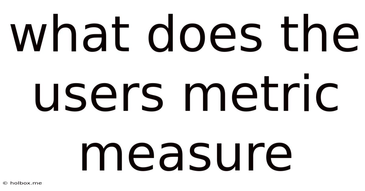 What Does The Users Metric Measure
