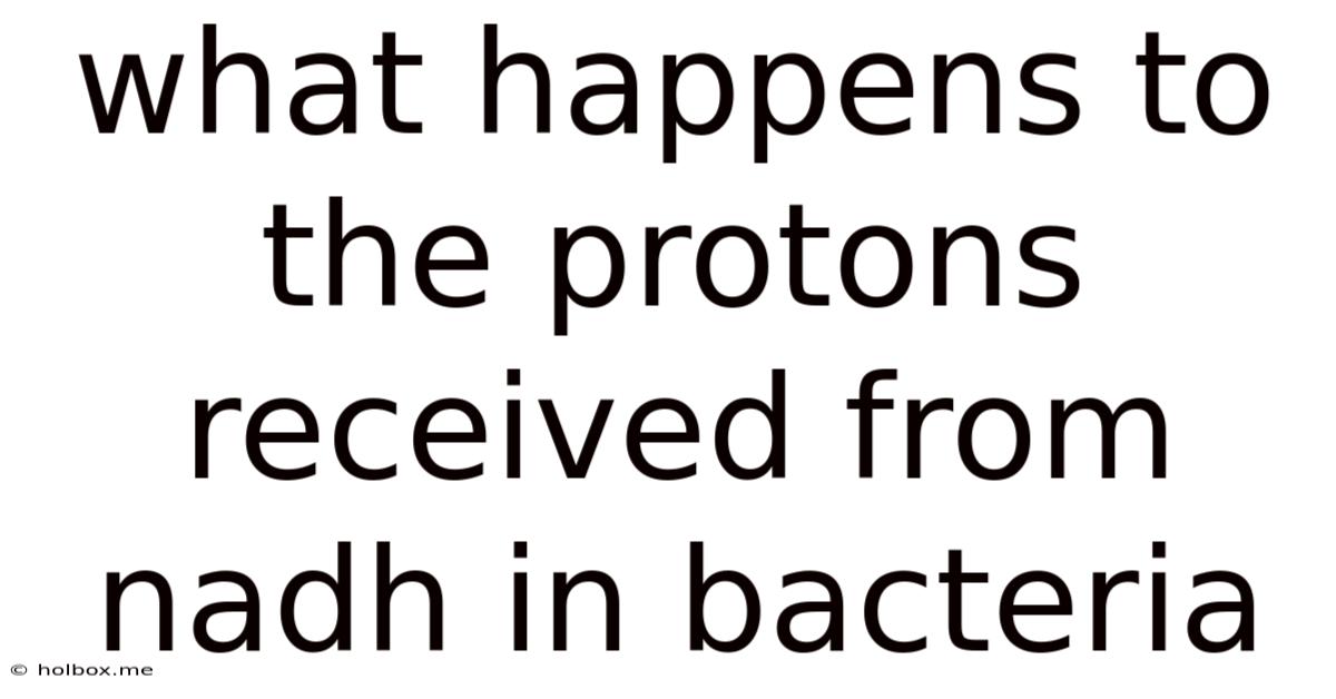 What Happens To The Protons Received From Nadh In Bacteria