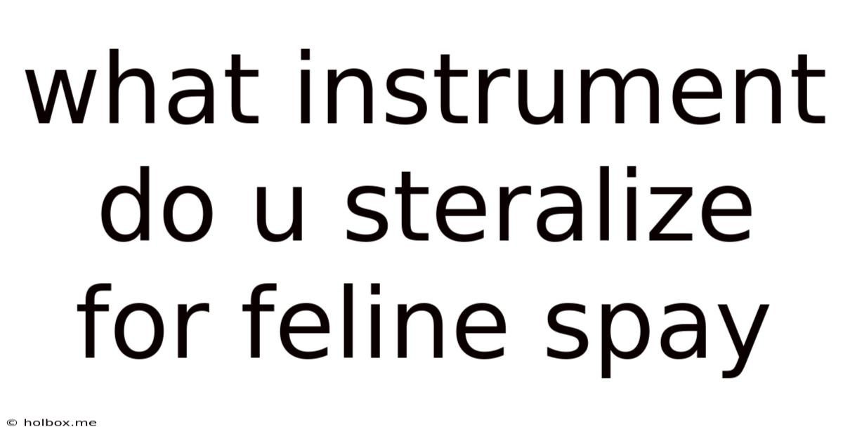 What Instrument Do U Steralize For Feline Spay