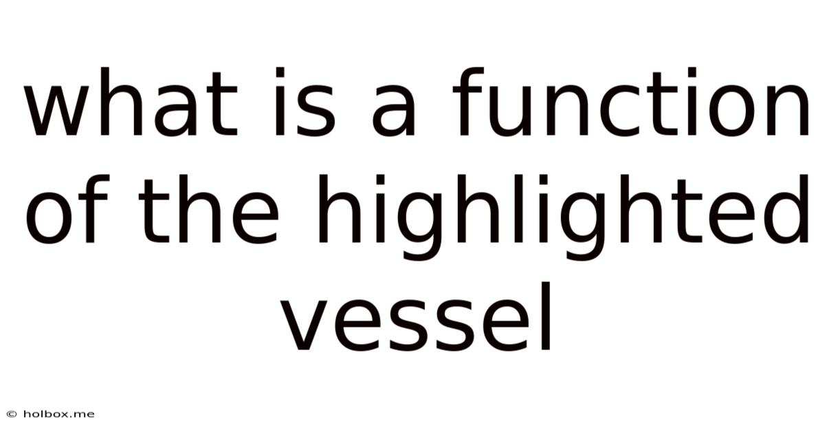 What Is A Function Of The Highlighted Vessel
