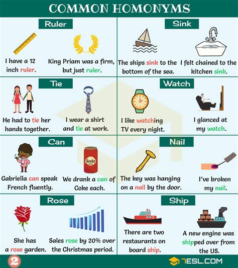 What Is A Homonym For Soar