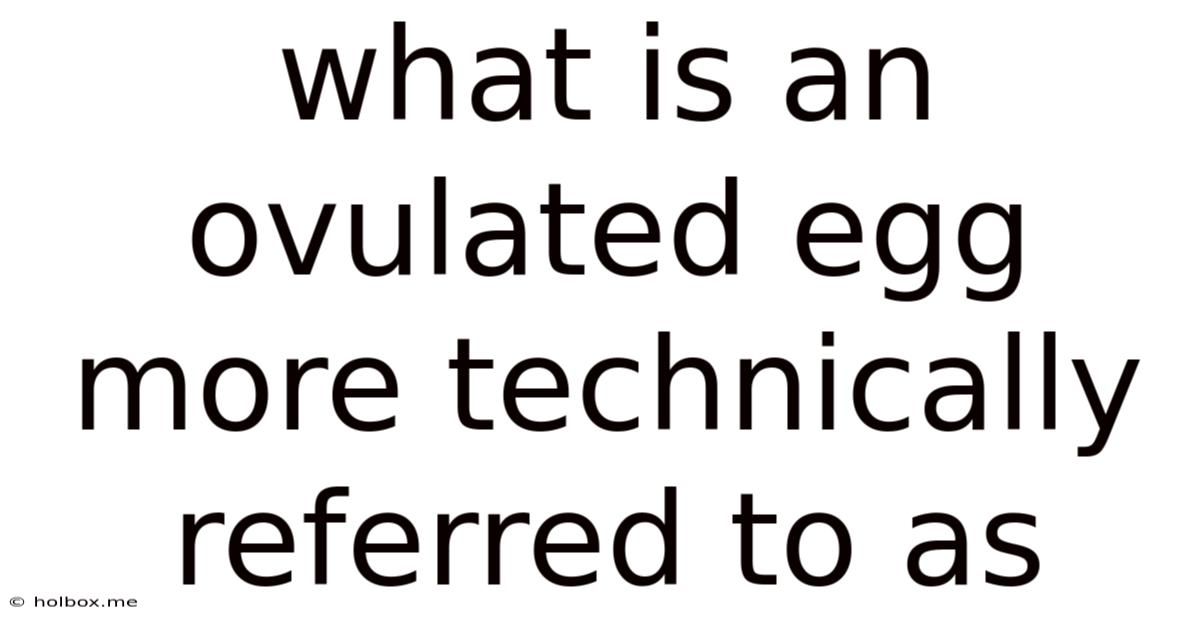 What Is An Ovulated Egg More Technically Referred To As