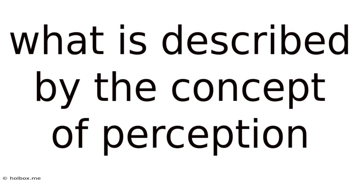 What Is Described By The Concept Of Perception