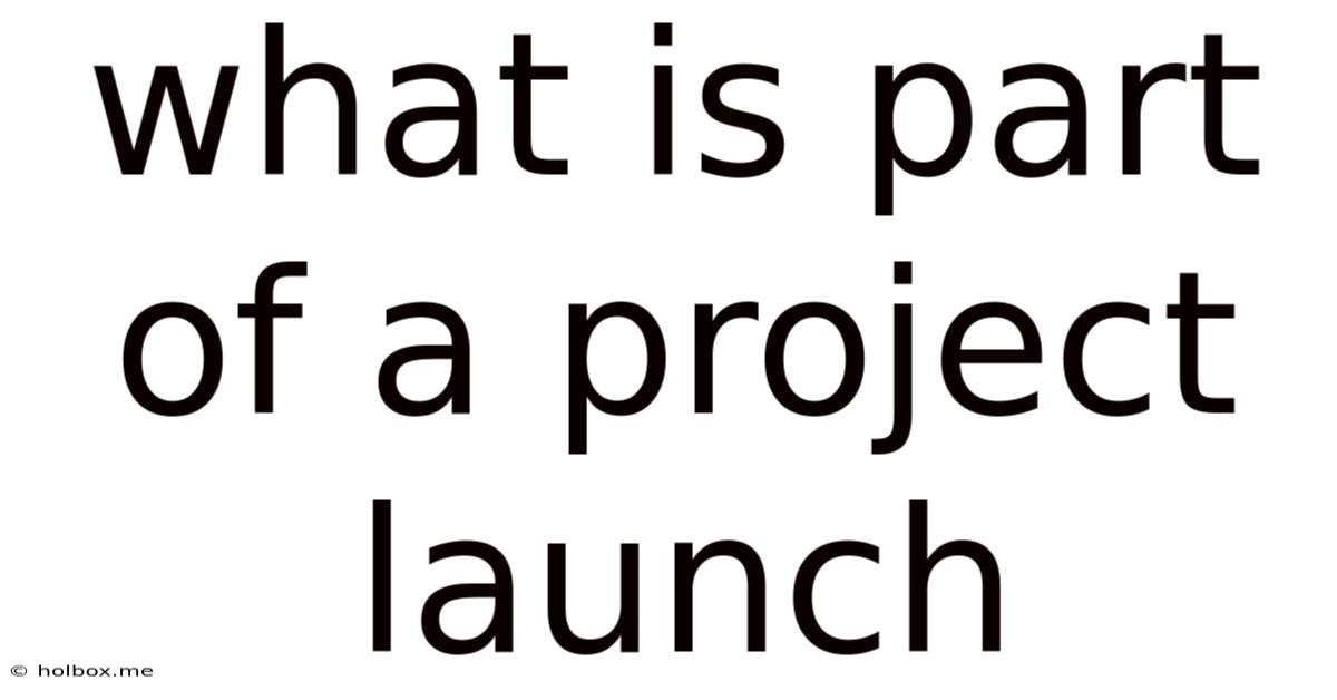 What Is Part Of A Project Launch