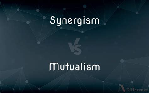 What Is The Difference Between Mutualism And Synergism