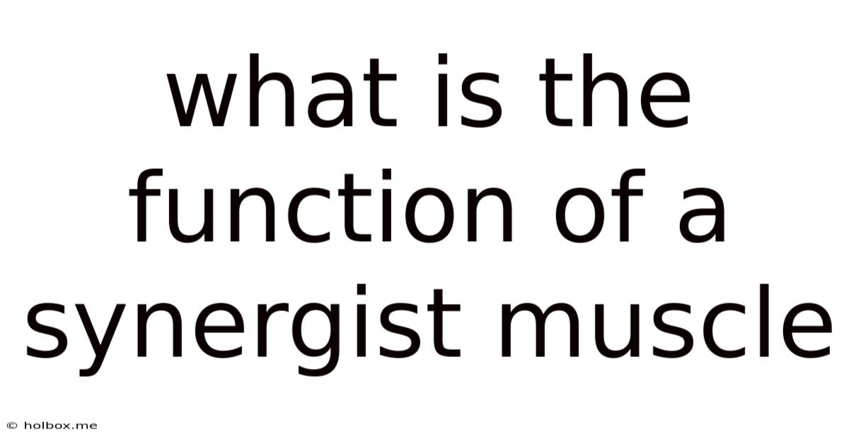 What Is The Function Of A Synergist Muscle