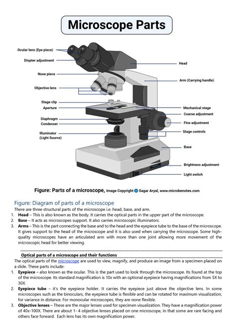 What Is The Function Of The Diaphragm Microscope