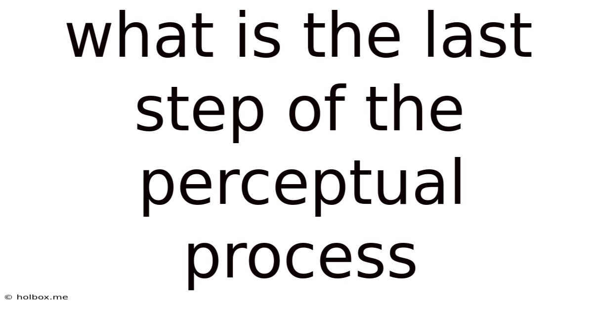 What Is The Last Step Of The Perceptual Process