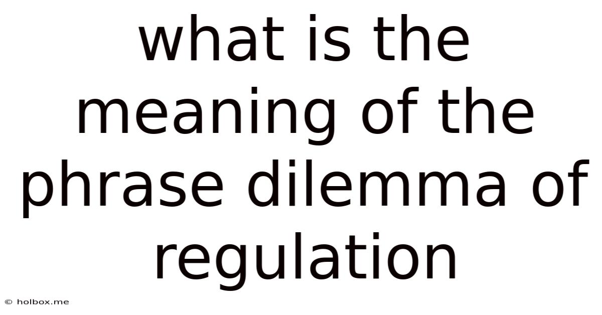 What Is The Meaning Of The Phrase Dilemma Of Regulation