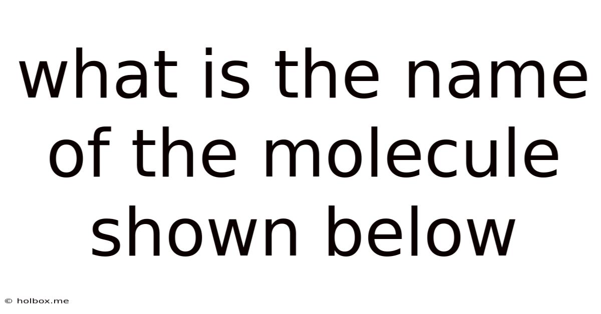 What Is The Name Of The Molecule Shown Below
