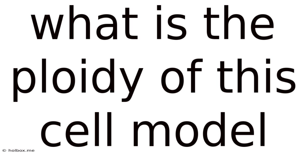 What Is The Ploidy Of This Cell Model
