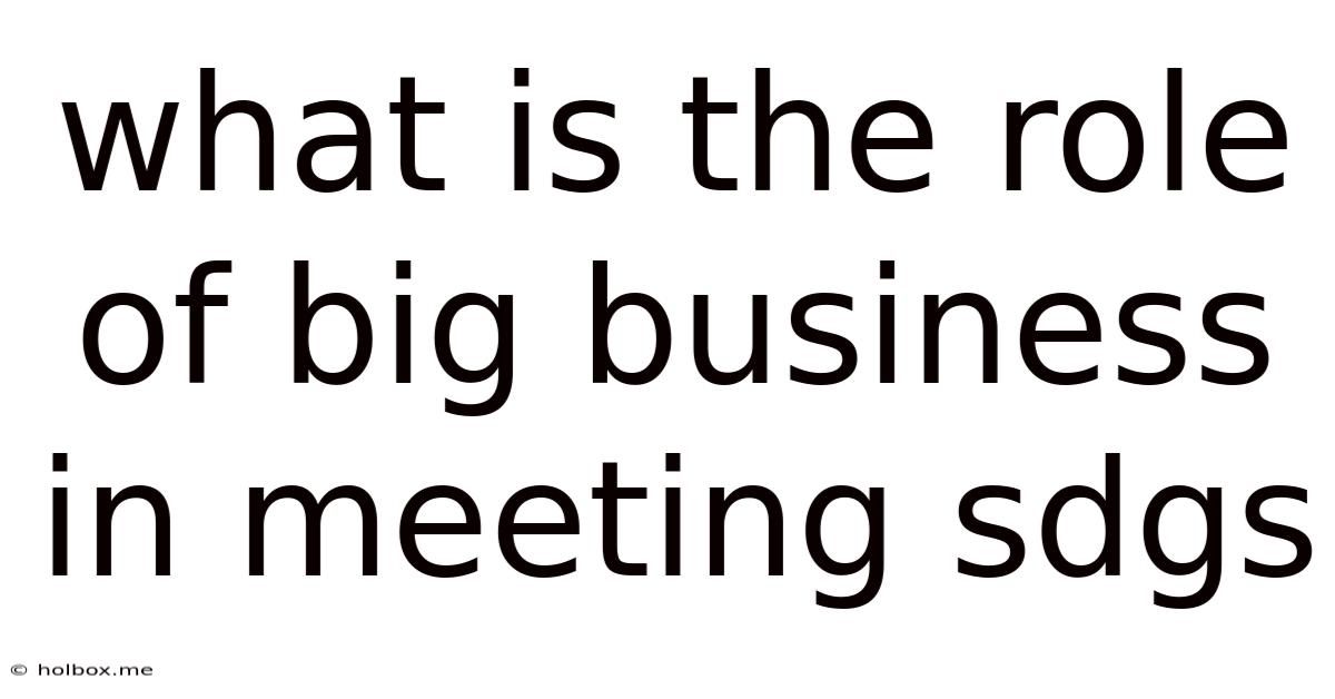 What Is The Role Of Big Business In Meeting Sdgs