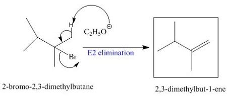 What Products Are Expected In The Ethoxide-promoted