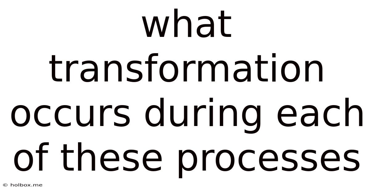 What Transformation Occurs During Each Of These Processes
