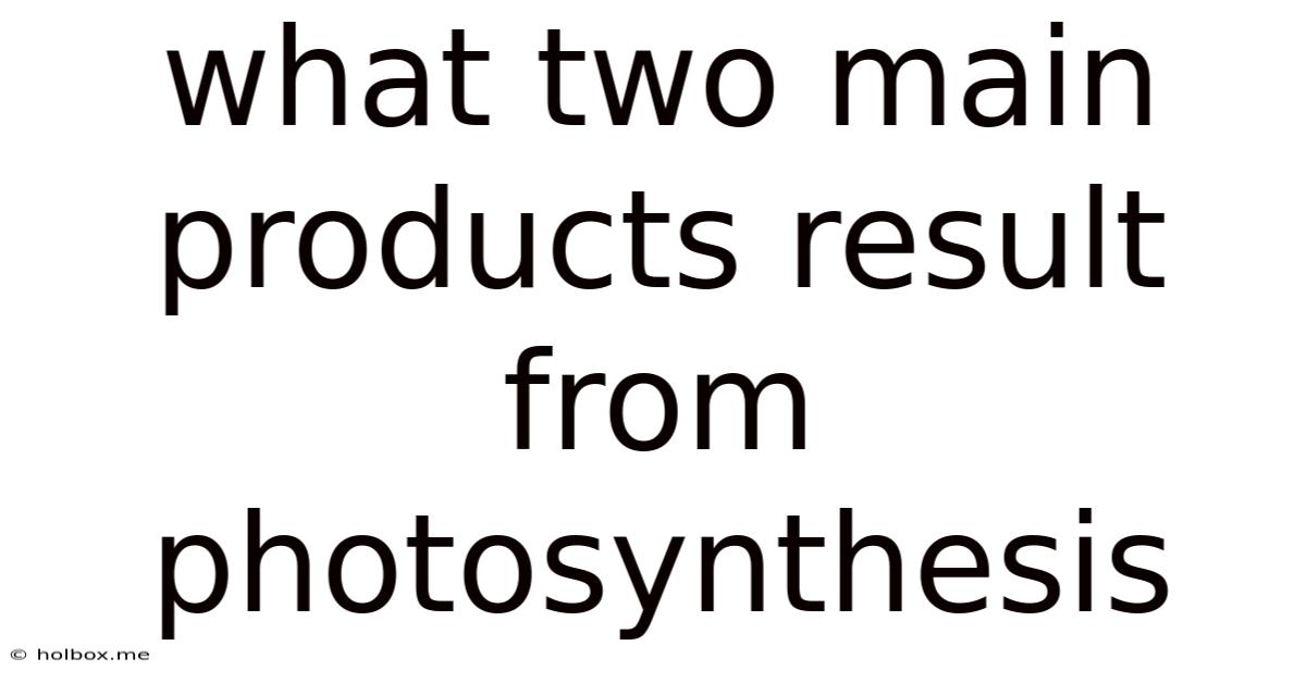 What Two Main Products Result From Photosynthesis