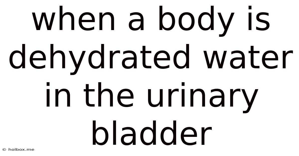 When A Body Is Dehydrated Water In The Urinary Bladder