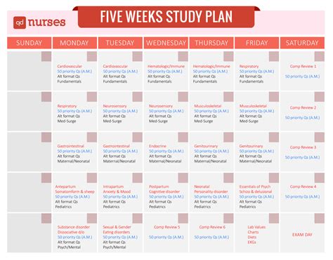 When Is The Nclex Exam 2024