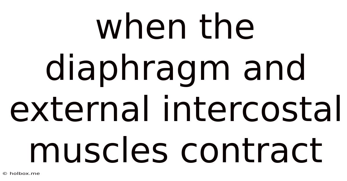 When The Diaphragm And External Intercostal Muscles Contract