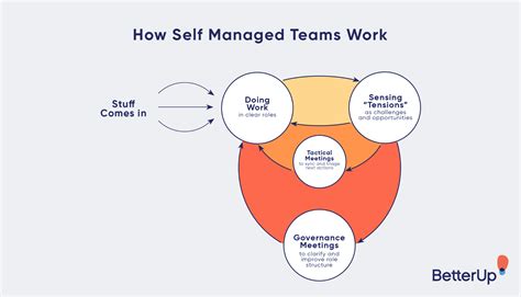 When Using A Self Managed Team A Manager Should