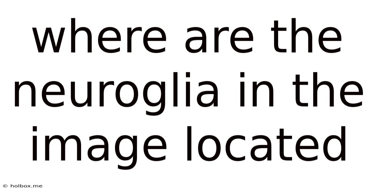 Where Are The Neuroglia In The Image Located