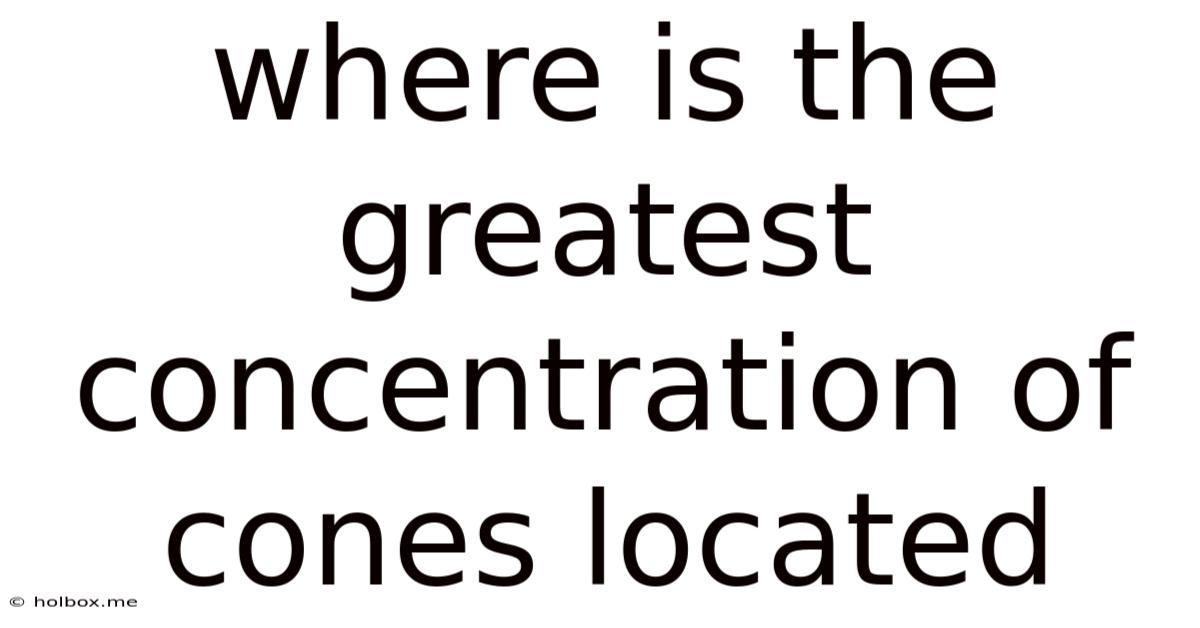 Where Is The Greatest Concentration Of Cones Located
