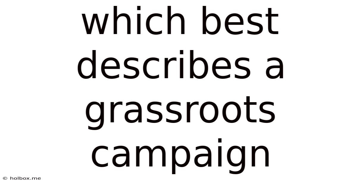 Which Best Describes A Grassroots Campaign
