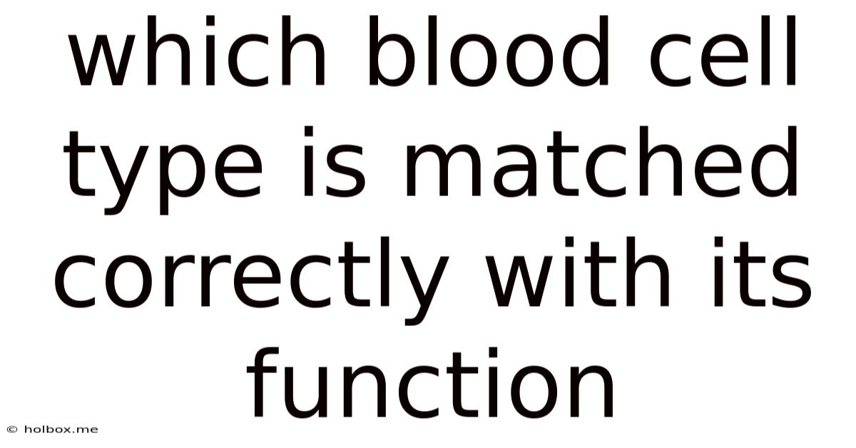 Which Blood Cell Type Is Matched Correctly With Its Function
