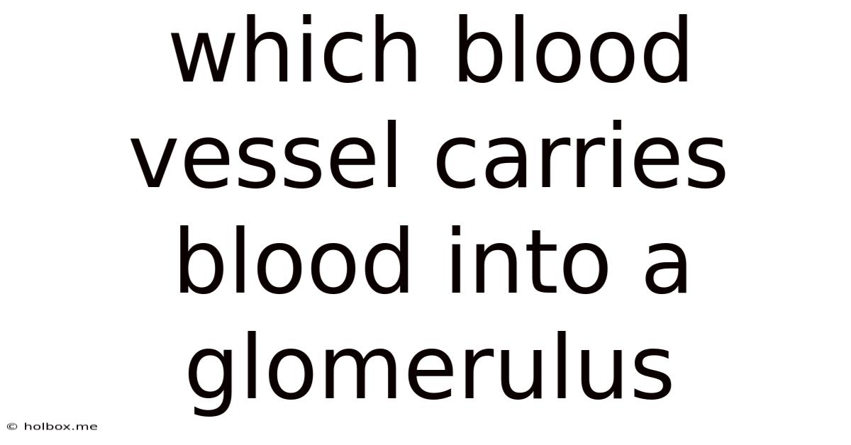 Which Blood Vessel Carries Blood Into A Glomerulus
