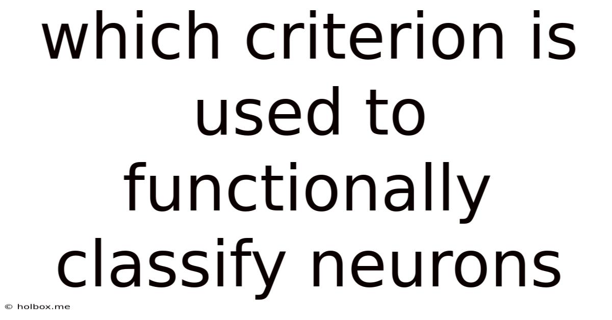 Which Criterion Is Used To Functionally Classify Neurons