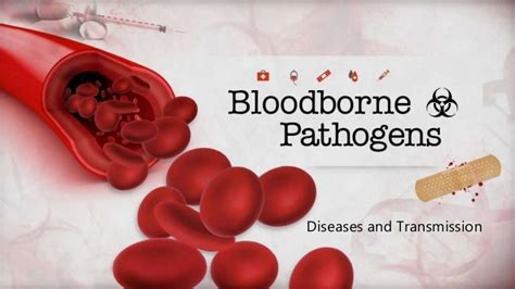 Which Disease Spurned The Bloodborne Pathogens Act