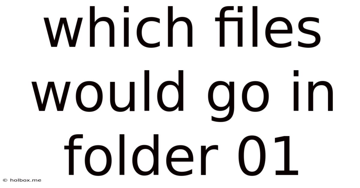 Which Files Would Go In Folder 01