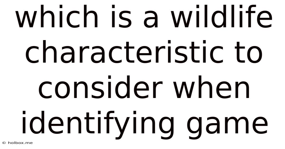 Which Is A Wildlife Characteristic To Consider When Identifying Game
