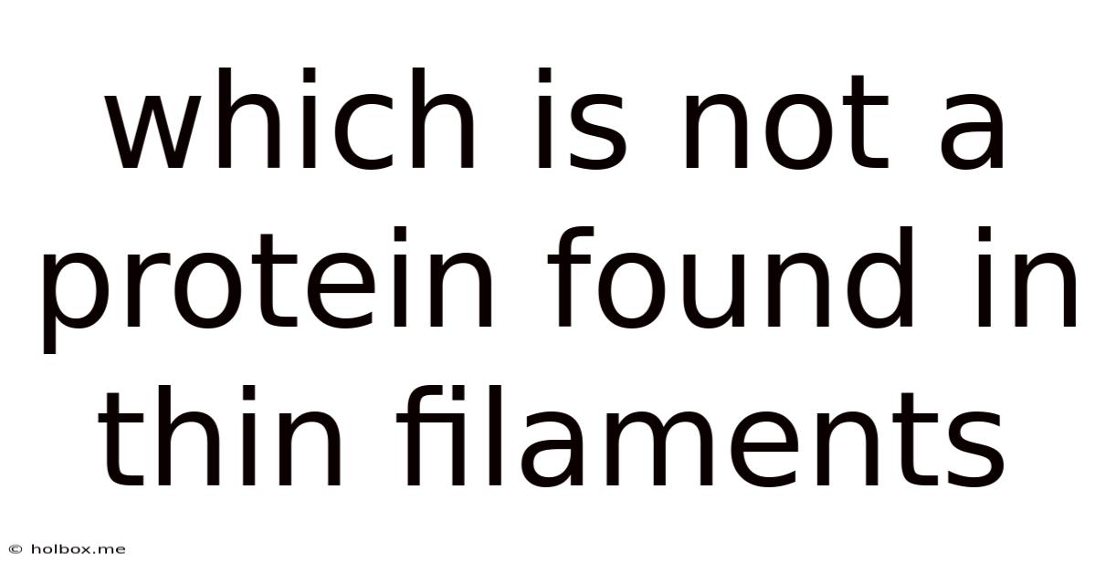 Which Is Not A Protein Found In Thin Filaments