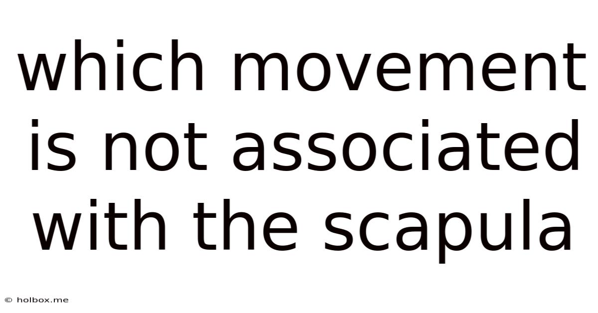 Which Movement Is Not Associated With The Scapula