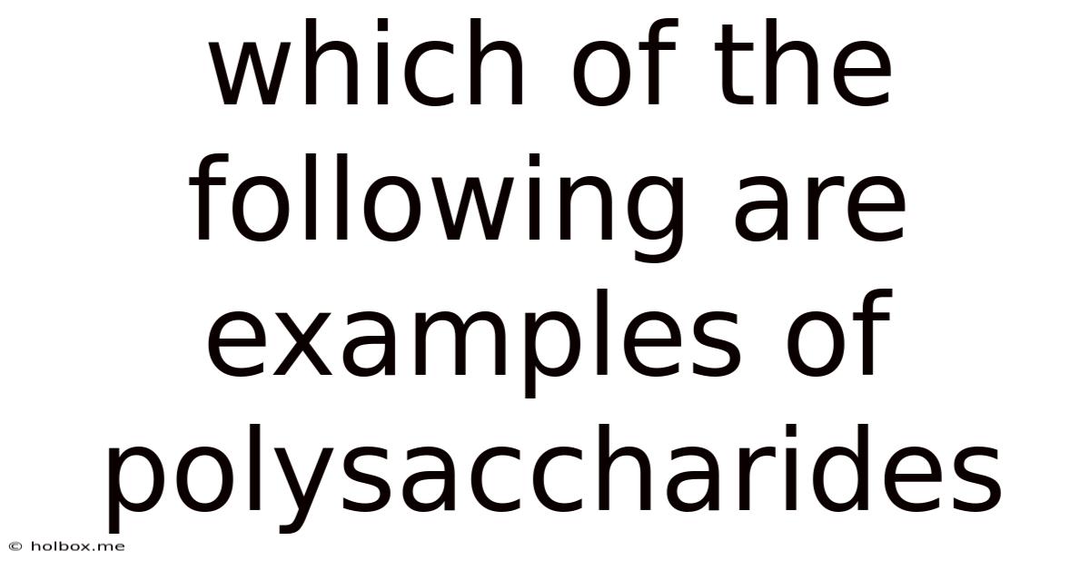 Which Of The Following Are Examples Of Polysaccharides