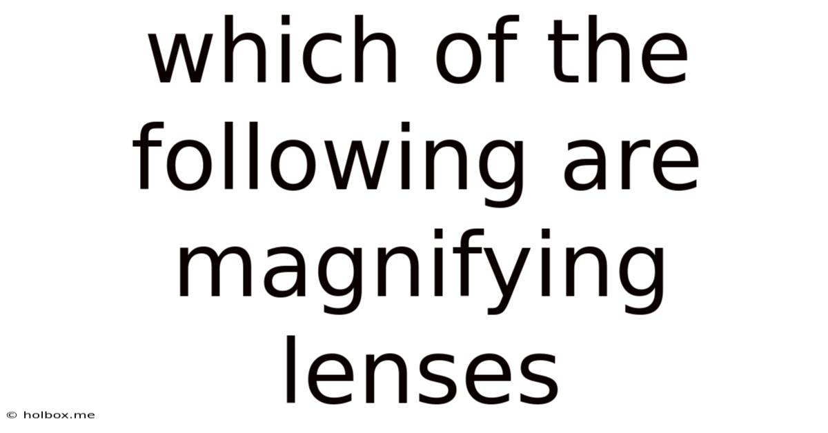 Which Of The Following Are Magnifying Lenses