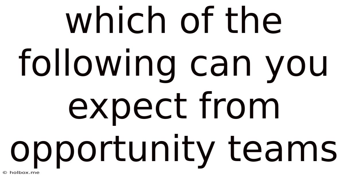 Which Of The Following Can You Expect From Opportunity Teams