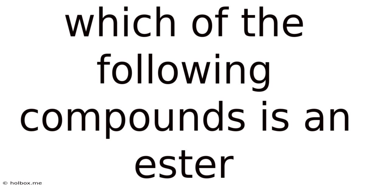 Which Of The Following Compounds Is An Ester