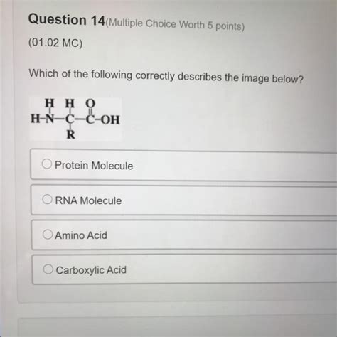 Which Of The Following Correctly Describes A Protein