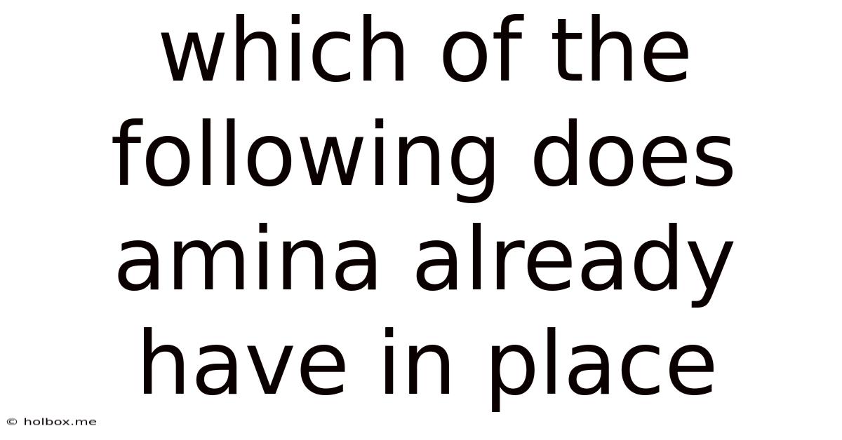 Which Of The Following Does Amina Already Have In Place