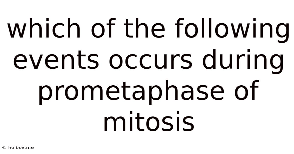 Which Of The Following Events Occurs During Prometaphase Of Mitosis