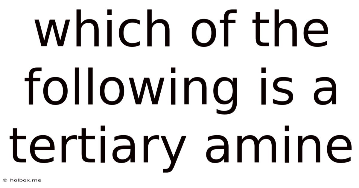 Which Of The Following Is A Tertiary Amine