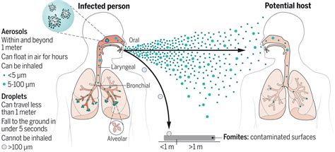 Which Of The Following Statements Is Accurate About Airborne Transmission