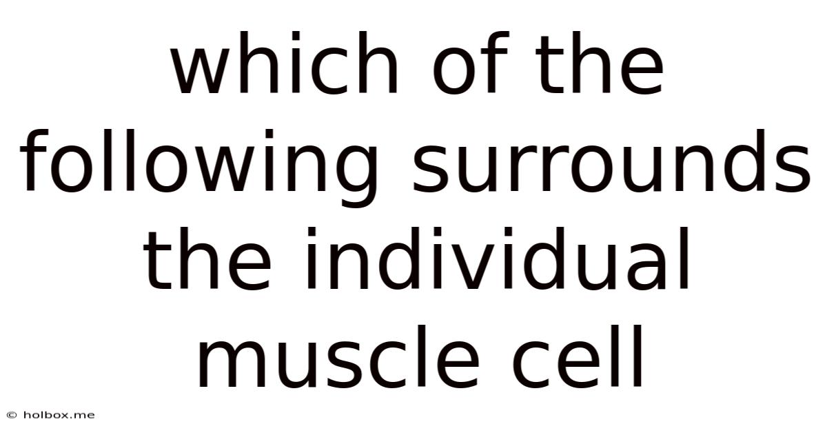 Which Of The Following Surrounds The Individual Muscle Cell