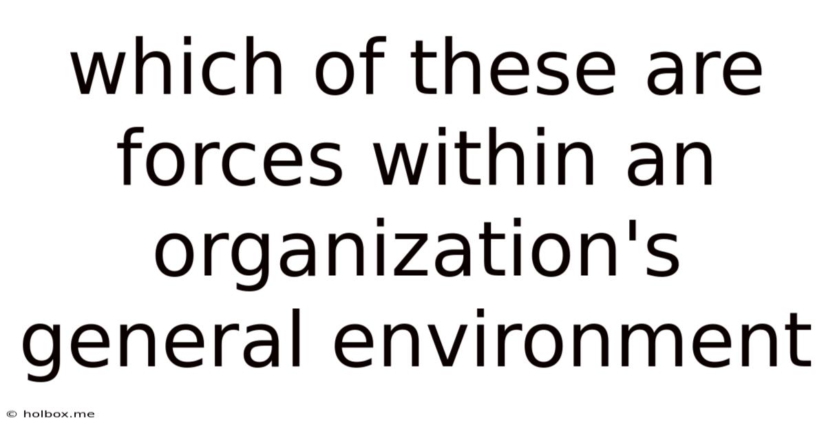 Which Of These Are Forces Within An Organization's General Environment