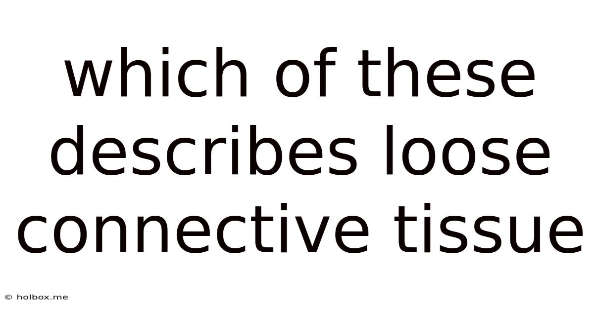 Which Of These Describes Loose Connective Tissue